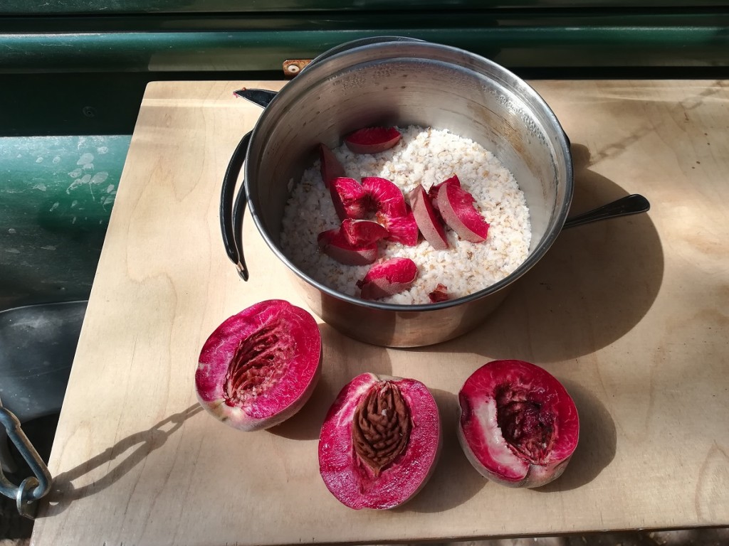 na śniadanie owsianka..z czerwonymi brzoskwiniami