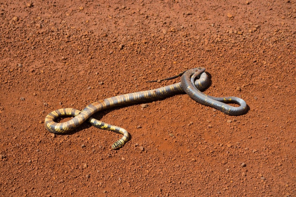 image002