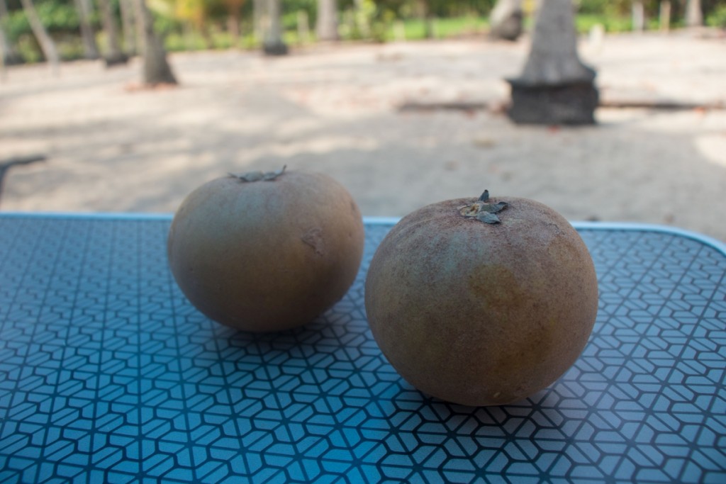 Níspero - całkiem dobry owoc