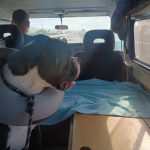 392. Wizyta u medyka !