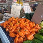 476. Warzywa i owoce na Baja California