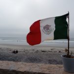 622. Pierwsza niedziela w nowym domu…