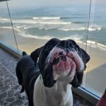 792. Trochę zadań, trochę działań