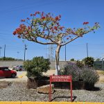 767. Pracowity dzień