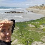 788. Wielka kłótnia