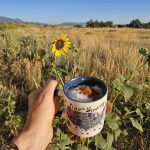 904. Dojeżdżamy do Boyd Park