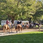 944. Niedziela, zostajemy sami