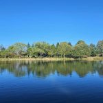 946. Dzień dobry Ohio