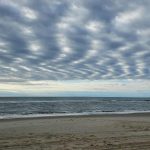 979. Ocracoke niedzielne