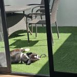 1092. Poniedziałek…