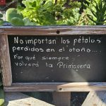 1090. Rozmyślania nad przyszłością…