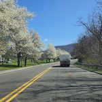 1125. Nareszcie camping