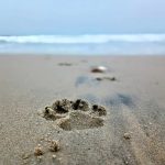 507. Jak na emeryturze