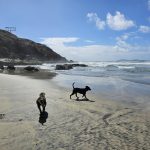 739. Nerwy i początki choroby