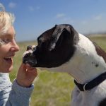 755. Niedzielne igraszki