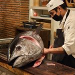 737. Animal i jego urok