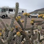 1038. Pożegnanie starego roku