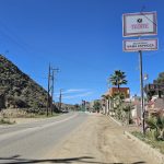 1098. Kierunek południe…